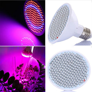 LED lights